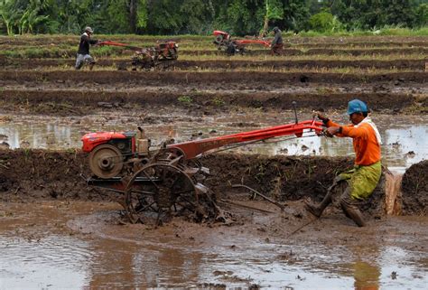 Petani Membajak Sawah Pertanian | Seputar Semarang