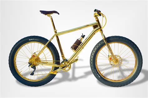 Verhandeln Einflussreich Schnäppchen Mountainbike Gold Koffer Einzig