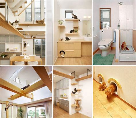 Koby Kepert 20 Creative Indoor Cat Playground Ideas
