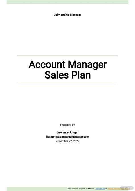 Sales Account Plan Templates Documents Design Free Download