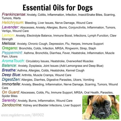 For cats and small dogs: 17+ best images about Doterra Oils for Dogs on Pinterest ...