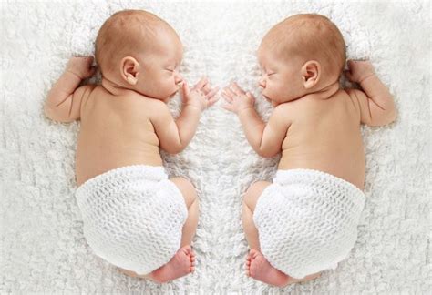 Jenis Kembar Dalam Kehamilan Identik And Persaudaraan