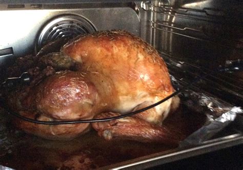 Steam oven cooking: Turkey and 