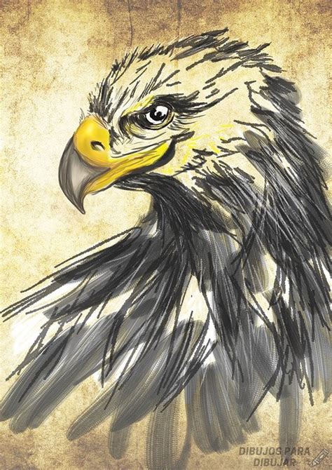 磊 Dibujos De águilas【190】lindas Y A Lápiz