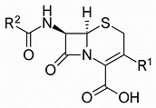 Cefalosporina - Wikiwand