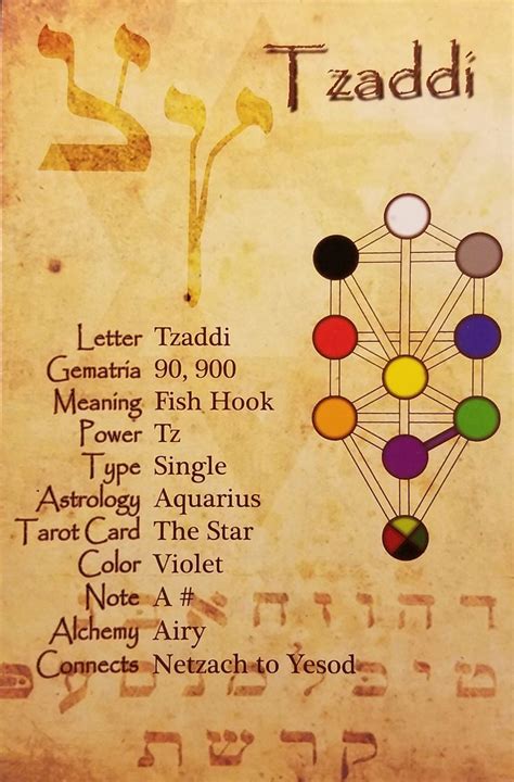 Tzaddi Hebrew Letter Study Card Hebrew Alphabet Study Cards