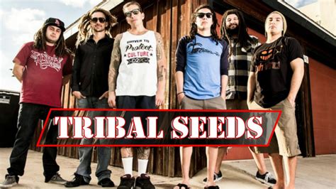 Tribal Seeds Best Songs Tribal Seeds Full Album 2018 YouTube