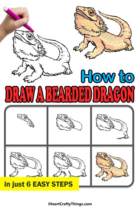 How To Draw A Bearded Dragon A Step By Method Step Guide Khoa