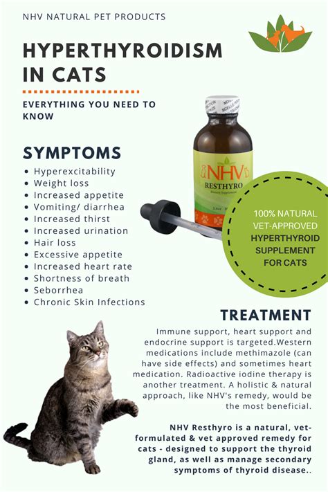 Resthyro For Cats Feline Hyperthyroidism Cat Care Tips Natural Pet