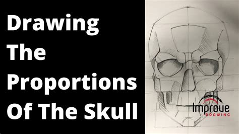 Drawing The Proportions Of The Skull Youtube