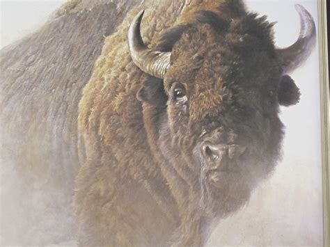 Robert Bateman Animals Artwork Animal Paintings Wild Animals Animals