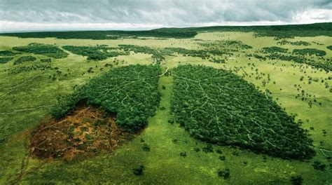 Экологические проблемы планеты Глобальные экологические проблемы планеты примеры