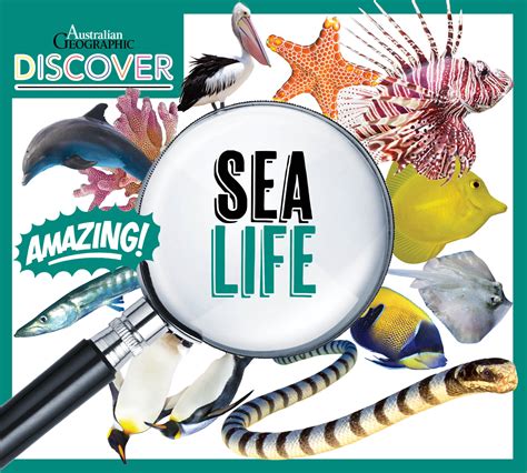Discover Sea Life Australian Geographic