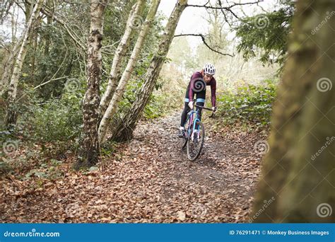 Cross Country Cyclist Riding On A Forest Trail Front View Stock Image