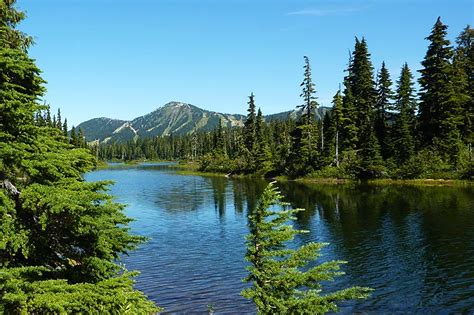 Strathcona Provincial Park Trails British Columbia Travel And