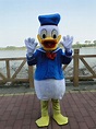 Adult Donald Duck Mascot Costumes Free Shipping Donald Duck mascot ...