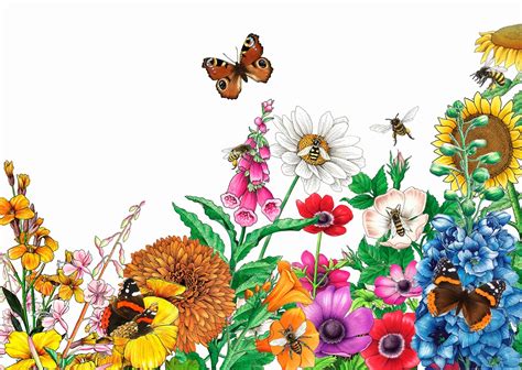 Butterflies And Bees On Bright Multicolored Garden Flowers Stock Images