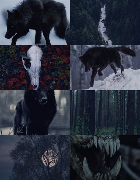 Black Wolf Tumblr