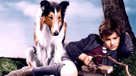 Lassie Come Home 1943 Filmfed