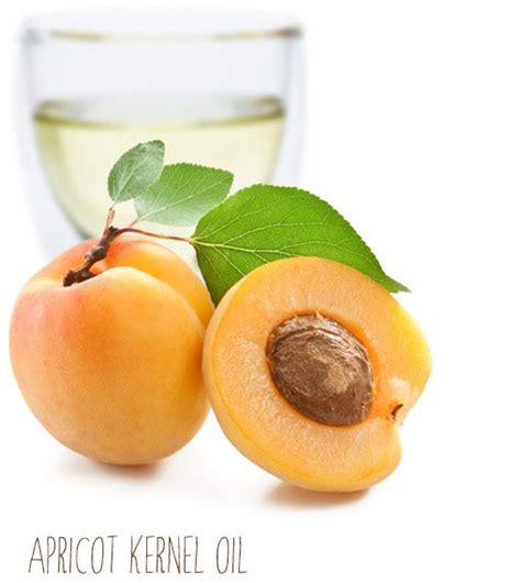 Apricot Kernel Carrier Oil From Monterey Bay Spice Company