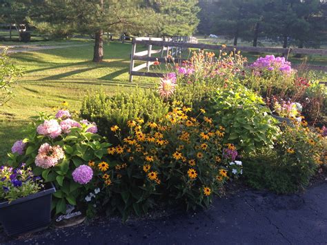 Cheryl S Garden A Gorgeous Mix Of Flowers Vegetables And Containers