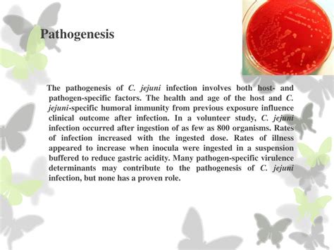 Ppt Microbiological Hazards In Food Production Powerpoint 40698 Hot Sex Picture