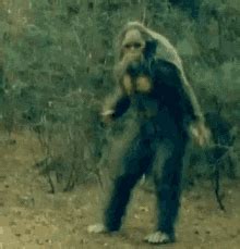 Sasquatch GIFs Get The Best GIF On GIPHY