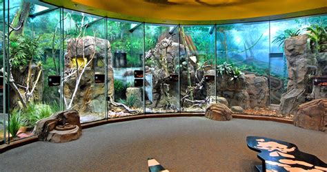 Follow Up The Lair Reptile Zoo Reptile Room Zoo Architecture