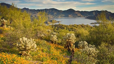 Riverside Campground Arizona Highways