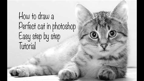 Okay, you just showed us, but still. HOW TO DRAW A REALISTIC CAT EASY PHOTOSHOP TUTORIAL - YouTube