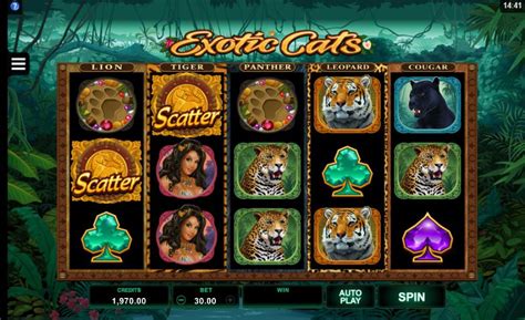 Exotic Cats Slots Review 5 Reel 243 Ways To Win Game