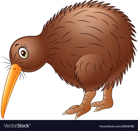 Cute Kiwi Bird Cartoon Royalty Free Vector Image