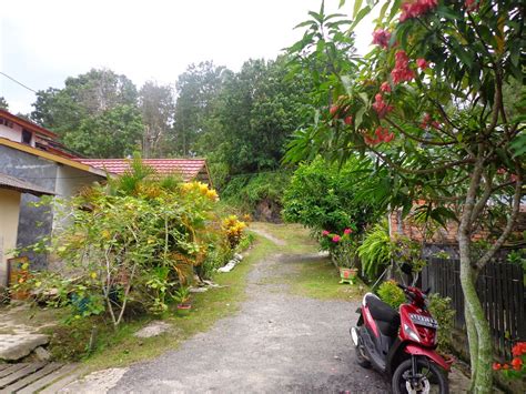 Jika semua rumah dan halaman sudah bersih maka lingkungan tersebut dapat dikatakan lingkungan yang bersih dan sehat. gambar lingkungan sehat - wood scribd indo