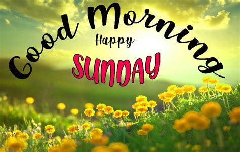Top 999 Good Morning Sunday Images Hd Amazing Collection Good