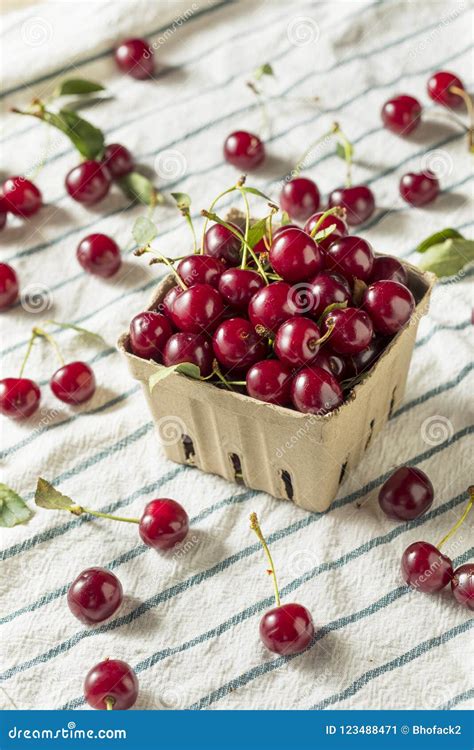 Raw Red Organic Tart Cherries Stock Image Image Of Background