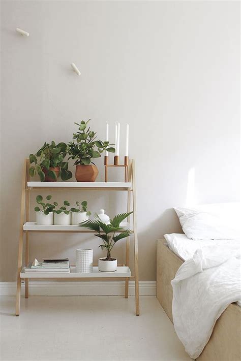 How To Decorate Your Interior With Green Indoor Plants And