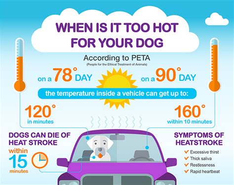 30 Pet Safety Infographics That Could Save Your Pet The Cottage Market