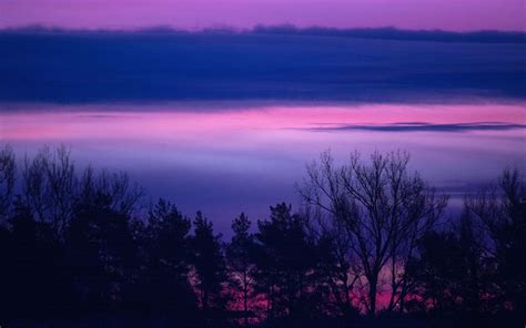 Clouds Forest Landscape Lilac Purple Serene Sunris Macbook Pro