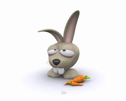 Cartoon Funny Rabbit Bunny Animals Animal Wallpapers