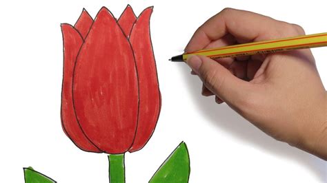 Como Dibujar Flores Tulipan Facil Paso A Paso Youtube