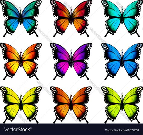 Collection Of Colorful Butterflies Flying In Vector Image