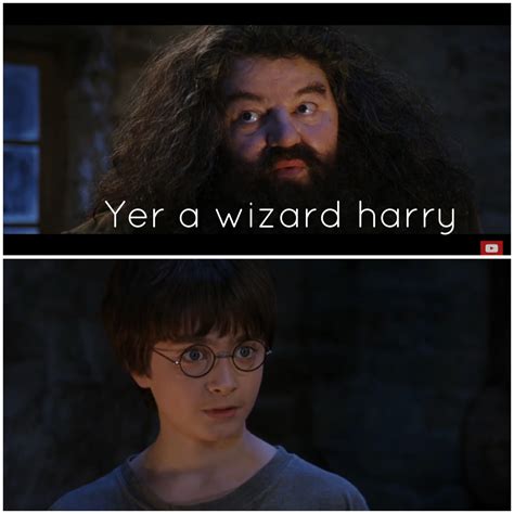 Hagrid Youre A Wizard Harry