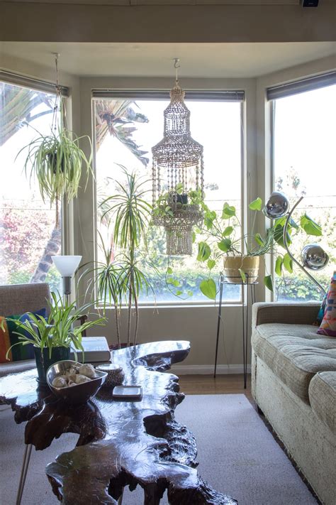Hanging Plants Best Indoor Types Ideas Apartment Therapy