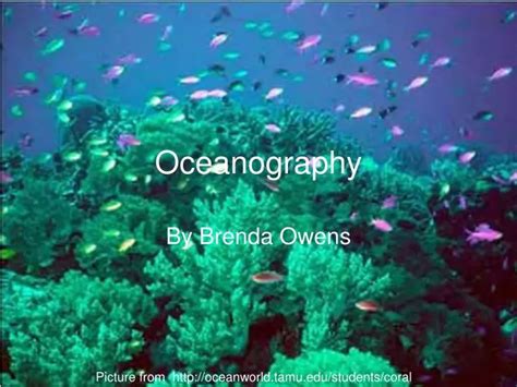Ppt Oceanography Powerpoint Presentation Free Download Id6611230