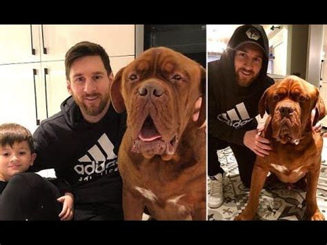 Lionel messi plays football with his pet dog hulklionel messi even makes his pet dog hulk look silly when he's got a ball at his feetno one is safe from the. (1) Barcelona star Lionel Messi relaxes at home with his ...