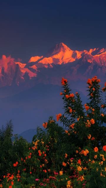 360x640 Himalayas Mountains Nepal Region 360x640 Resolution Wallpaper