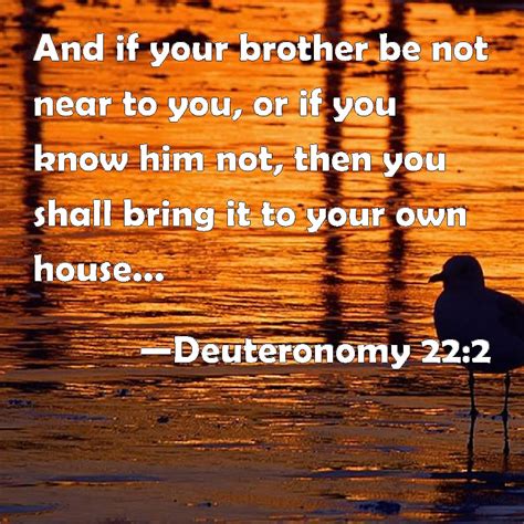 Deuteronomy 222 And If Your Brother Be Not Near To You Or If You Know Him Not Then You Shall