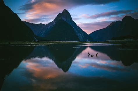 Waters And Landscape Of Milford Sound New Zealand Image Free Stock