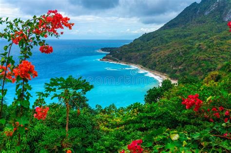 Scenic Natural Wild Landscape With Rocky Mountains Overgrown Dense