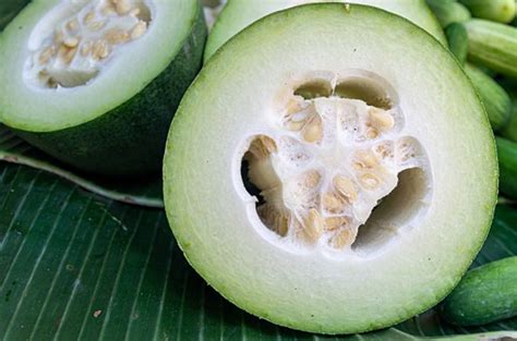 8 Surprising Health Benefits of Winter Melon
